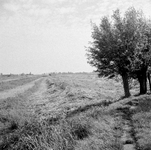 350139 Gezicht op de Hollandse kade langs de Bijleveld te Harmelen uit het noordwesten; met links de Rodedijk. N.B. De ...